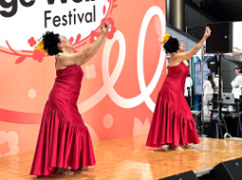 Age-Well-Festival