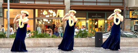 ワイアーヌエヌエフラスタジオ ハワイツアー2026