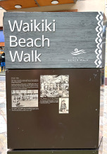 ワイアーヌエヌエフラスタジオ ハワイツアー2026